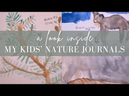 My Kids' Nature Notebooks | A LOOK INSIDE!