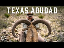 DOUBLE UP on Barbary Sheep - Hunting BIG Aoudad in the Mountains of West Texas