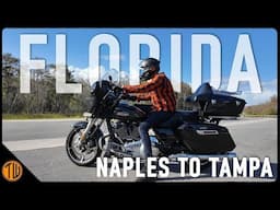 Long Road To Tampa | 2024 HD Street Glide in Florida