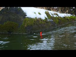 WINTER STEELHEAD BOBBER DOWNS ON A TINY RIVER - The Best Bite We’ve EVER Seen!