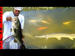 NEW GIANT PET BASS Vs the MONSTER FISH POND!