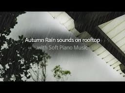 Autumn Rain sounds on rooftop 🌧 soft Piano Music for Sleeping Work Study | Rain Music Sleep