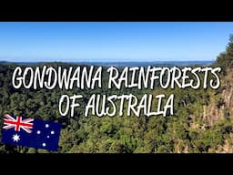 Gondwana Rainforests of Australia - UNESCO World Heritage Site