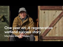 One year on: A regenerative wetland success story at Marloes Mere, Wales