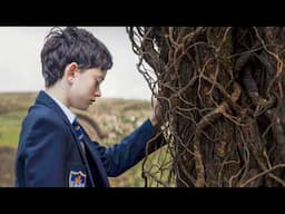 Boy Hears a Mystery Sound From a Tree and Can’t Stop Himself From Looking