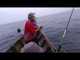 Dikira nyakut dikarang ternyata ikan kerapu besar ||Ultralight Jingging