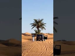 The Sand Dunes of the Sahara Desert