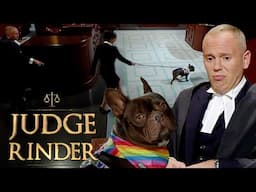 'Come Back!' Floor Destroying Dog Rejects Judge Rinder & Causes Chaos In Court | Judge Rinder