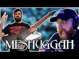 MESHUGGAH - Rational Gaze (2025 Cover)