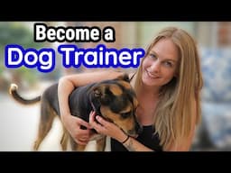 How to Become a Professional DOG TRAINER