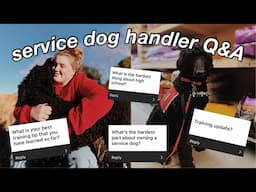 service dog handler Q&A! :)