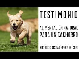 TESTIMONIO. Alimentación natural para un Cachorro