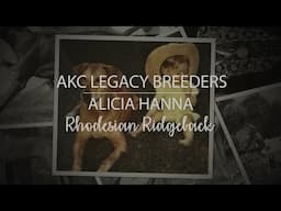 AKC Legacy Breeder Alicia Hanna