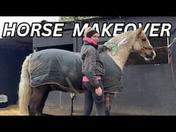 GIVING MY HORSE A MAKEOVER READY FOR THE FIRST HORSE SHOW OF THE YEAR