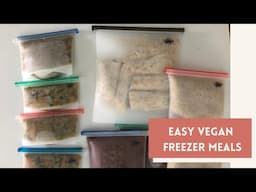 Budget-Friendly Vegan Meal Prep | Freezer Meals in 1 Hour!