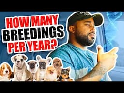 How many Breedings per year as a dog breeder!?