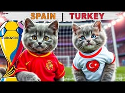 GET READY FOR FELINE FOOTBALL FUN: CATS KITTENS FACE OFF IN EURO CUP SEMIFINAL SPAIN VS TURKEY