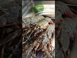 Goan Fish..Tiger prawn🫣#shorts #ytshorts #viralvideo #trending