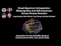 Symposium: Broad-Spectrum Introspection | ASSC26