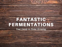 Fantastic Fermentations Live Stream