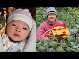 👩‍🍼 The Baby Sleeps Well In The Farm - Together With Maya, Harvest Vegetables To Sell