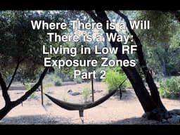 Living in Low RF / Microwave Exposure Zones: Where There is a Will There is a Way! Part 2