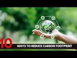 Top 10 Ways to Reduce Your Carbon Footprint