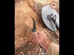 Axiom Gold Rush! No.3 #shorts  #metaldetecting #garrettmetaldetectors #prospecting #gold_nuggets