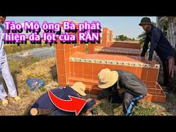 ĐI TÌM RẮN LỘT DA | TGSB #1077