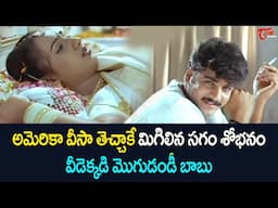 అమెరికా వీసా తెచ్చాకే మిగిలిన సగం శోభనం..Babu Mohan & MS Narayana Funny Comedy |Navvula Tv