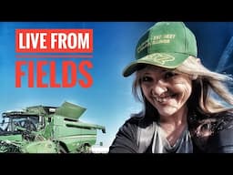 🔴LIVE FROM FIELDS John Deere S680i Rice Harvesting