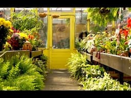 New Gardener's Guide to Shopping at a Garden Center