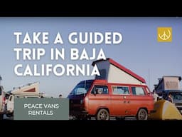 Whale Watching & Farm-To-Table Trips in Baja California