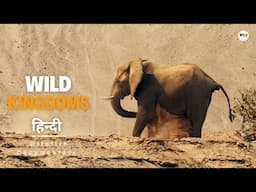 Desert Survivors, Wild Kingdoms - हिन्दी डॉक्यूमेंट्री | Wildlife documentary in Hindi