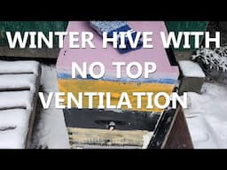 Winter Hive Configuration (with No Top Ventilation)