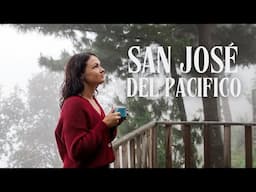 San Jose del Pacifico 🍄 Magic Mushroom Capital of Mexico 🇲🇽 Vlog