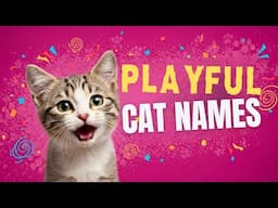 Your Playful Cat NEEDS One of These Epic Names - Names You Can’t Ignore!