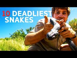 Top Ten Killer Snakes In The World With Steve Irwin!