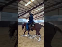 Fix A Horse That Won’t Focus