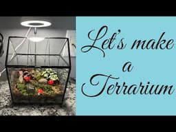 Let's Plant a Small Terrarium in Real Time