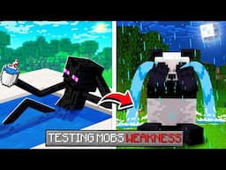 I Tested Every Minecraft Mob's WEAKNESS !!!