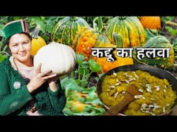 || Pumpkin Season|| कद्दू का हलवा कैसे बनाएं|| pumpkin Seeds Benefits|| Kinnaur HP ||