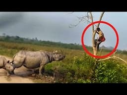 आदमी को लगा बच जाऐगा लेकिन मामला उल्टा पड़ गया 🤣😂ll Wild animal encounters cought on camera