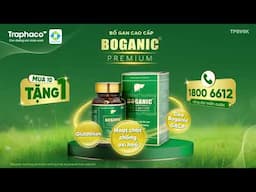 Bổ gan cao cấp Boganic Premium - hỗ trợ bổ gan, giải độc gan, chống oxy hóa