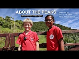 About The Peaks by Pilling Primary School Pupils, St Helena