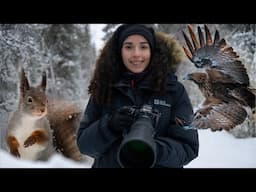 Winter in Swedish Lapland (Sapmi) | Wildlife Photography, Husky Dog Sledding, and Polar Clouds