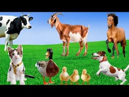 Farm Animals and Their Sounds: Dog, Cat, Chicken, Duck, Rabbit, Horse, Hamster - Animal Sounds