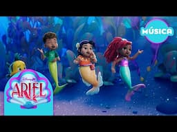 Disney Jr Ariel | La Sereiusca