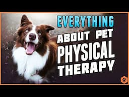 The Professional Pet Physical Therapist: An Interview with Whitney Mitchell