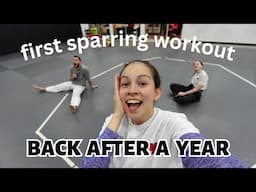 First Sparring Workout Back after a Year (vlog)